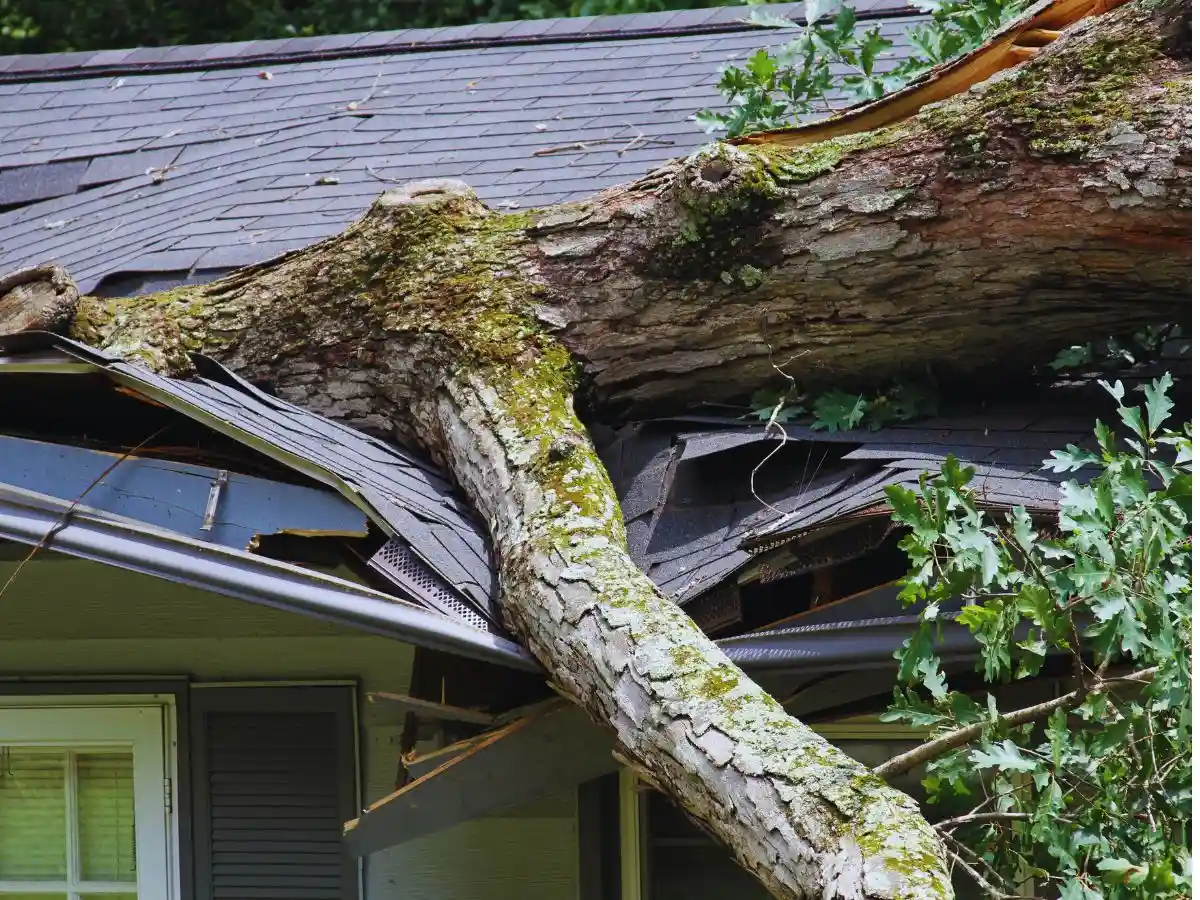 Residential roofing project in Georgia