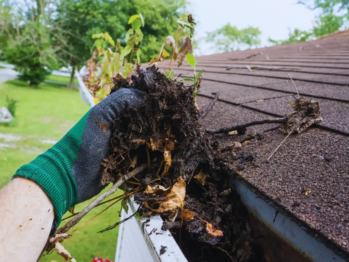 Residential gutters filled with leaves and debris on a North Georgia home